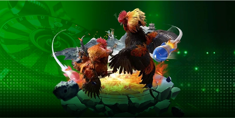 Kinh nghiệm đá gà mạng từ những người đi trước và truyền dạy cho chúng ta